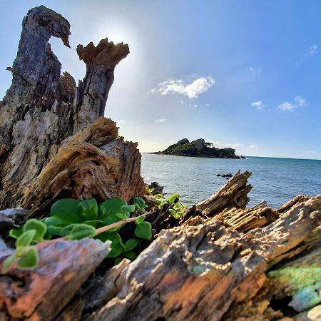 Goat Island Bungalow Ulverstone Exterior foto