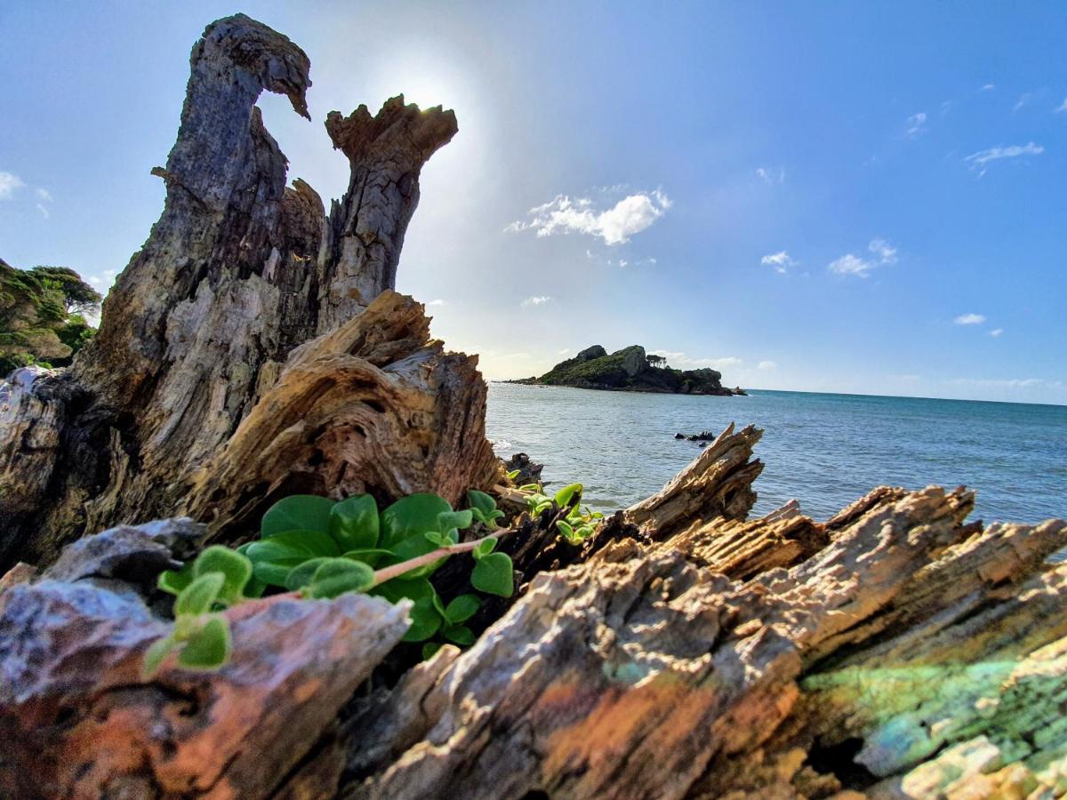 Goat Island Bungalow Ulverstone Exterior foto